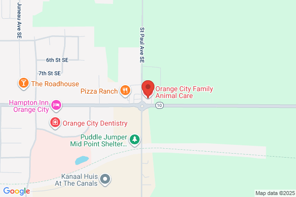 Orange City Family Animal Care