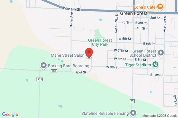 Mane Street Salon & Tanning