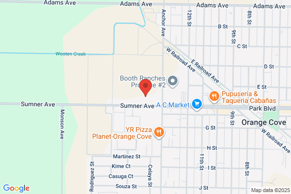 AutoZone Auto Parts