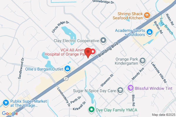 Chiropractic Spine and Injury Center, LLC