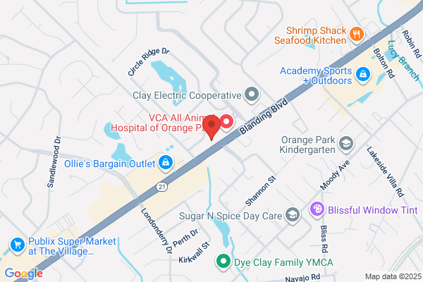 Orange Park Dentistry
