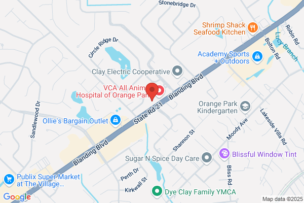 Orange Park Eye Center Blanding