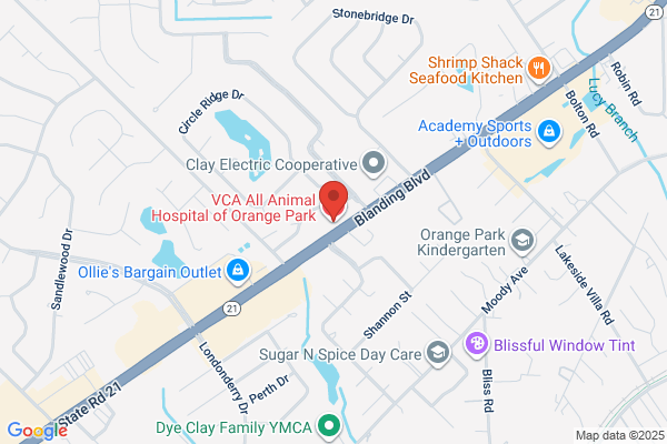 VCA All Animal Hospital of Orange Park