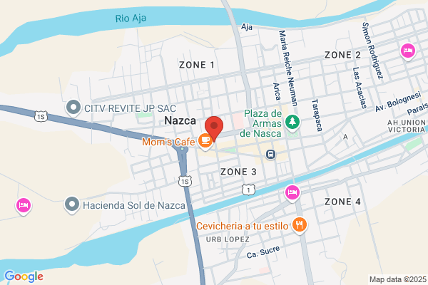 Nazca Peruvian Servicescourier Travel & Income Tax