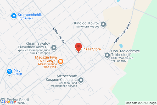 Pizza Store the