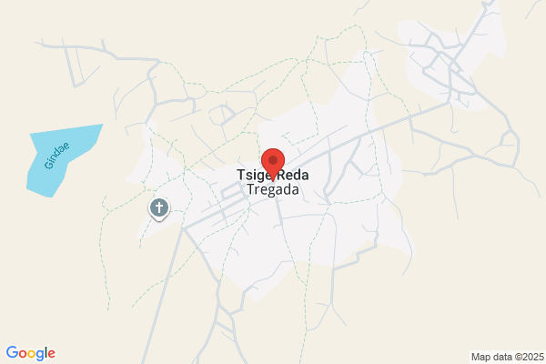 Tsigereda K. Tesfaye, FNP, NPC