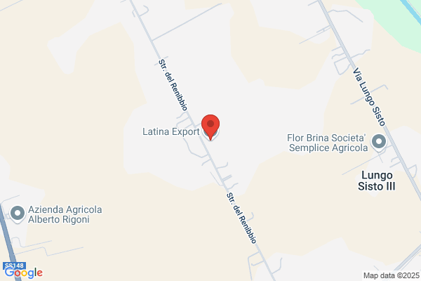 Latinos Export
