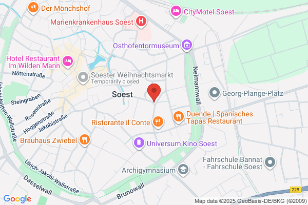 Soest Guitar