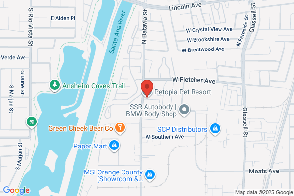 Petopia Pet Resort