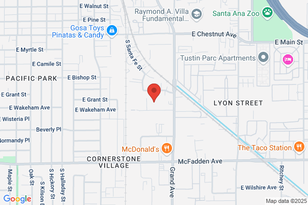 Santa Ana Tree Service Experts
