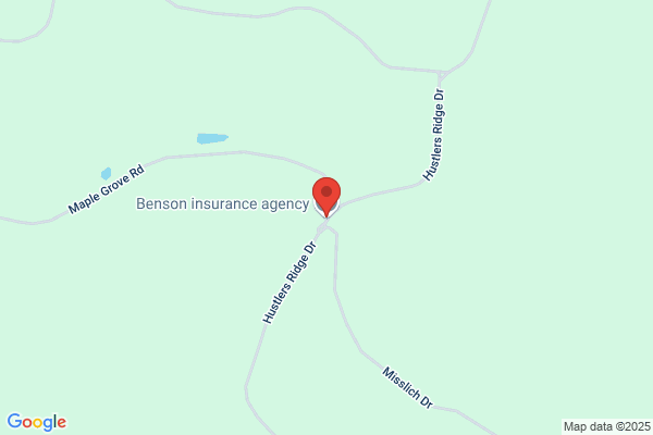 Benson Robert Insurance Services