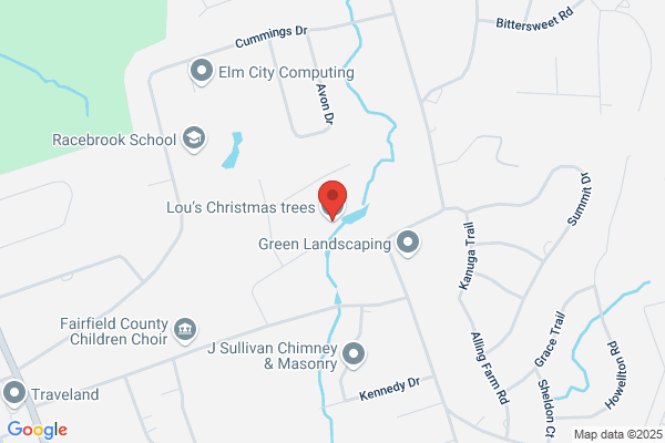 Christmas Tree Shops