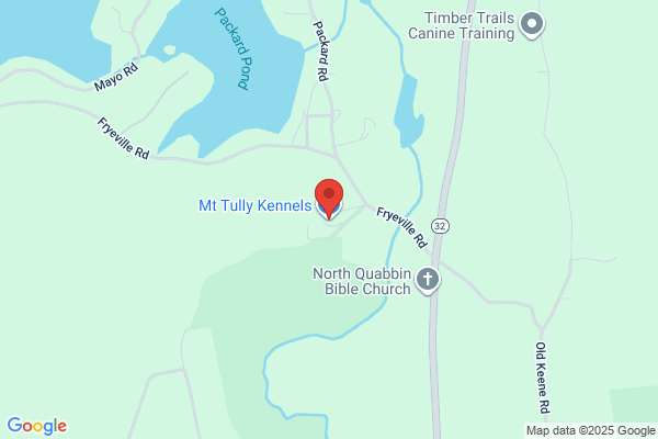 Mount Tully Kennels