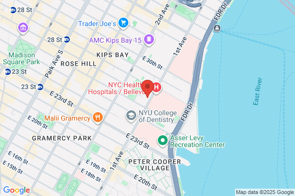 Rothberg Robert M MD