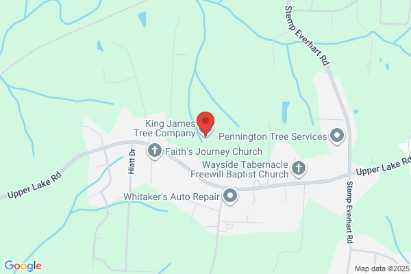 King James Tree Service