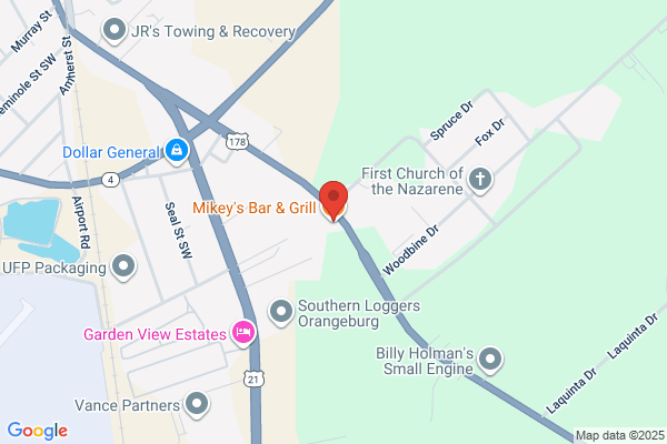 Mikey's Bar & Grill
