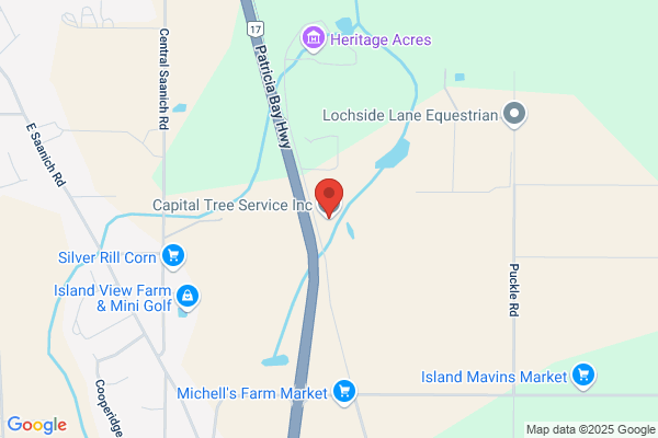 Capital Tree Service
