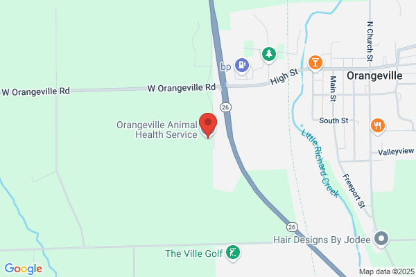 Orangeville Animal Health