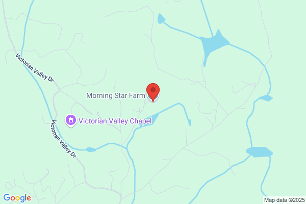 Morning Star Farm