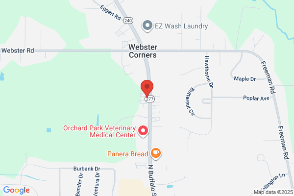 Orchard Park Pet Spa