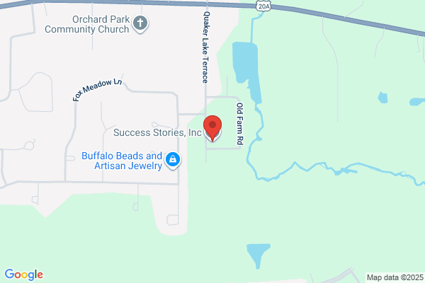 Success Stories Inc
