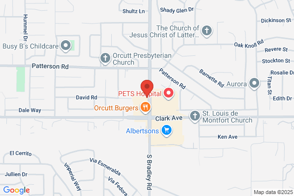 AutoZone Auto Parts