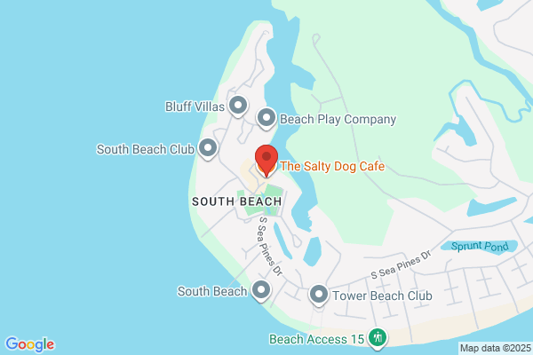 A Salty Dog