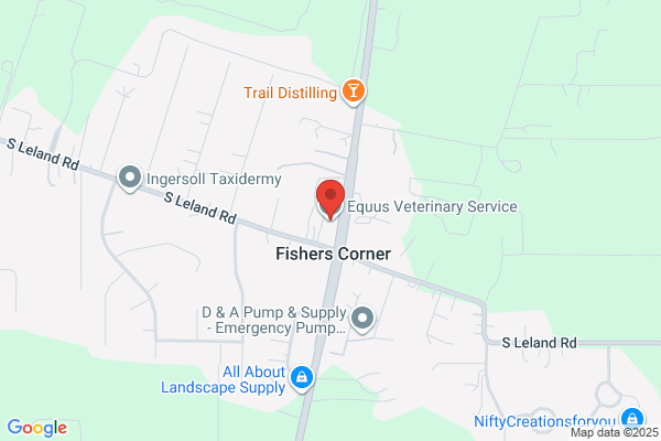 Equus Veterinary Service PC