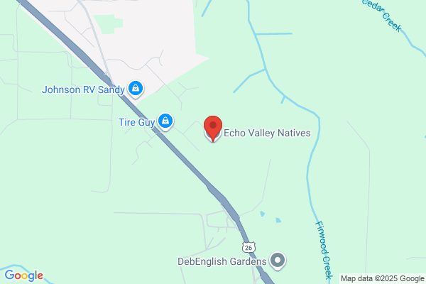 Echo Valley Natives