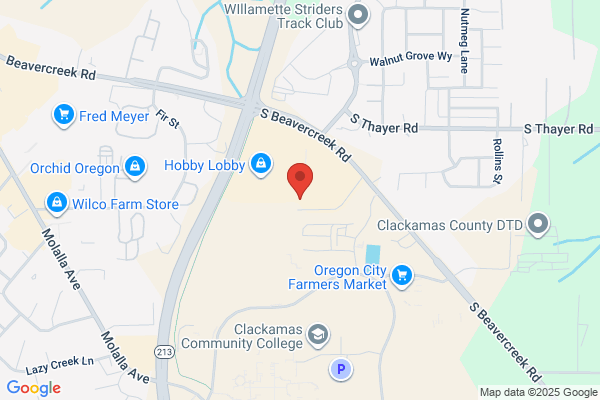 OREGON CITY SECURE STORAGE
