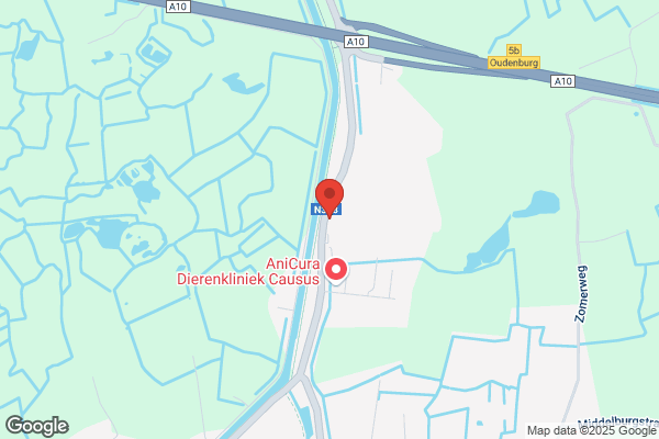 Verhelst Martin D CPA