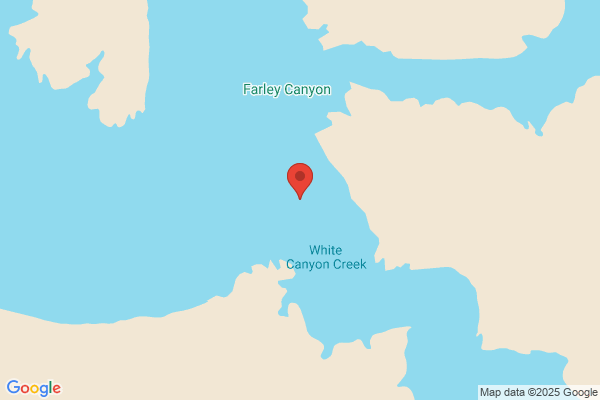 White Canyon Inc