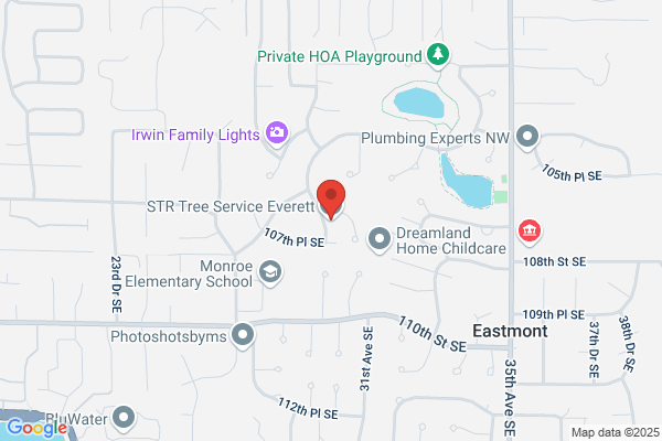 Str Tree Service Inc