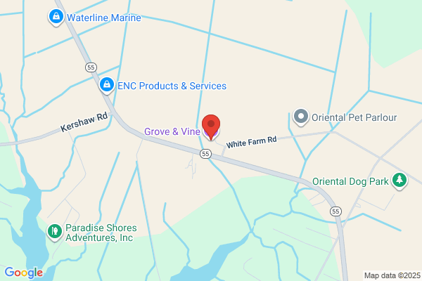 McClees Susan Henri Attorney