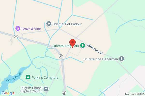 Southeast Pamlico Volunteer Fire Department Inc