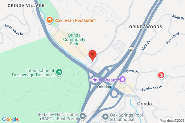 Orinda Consulting Group