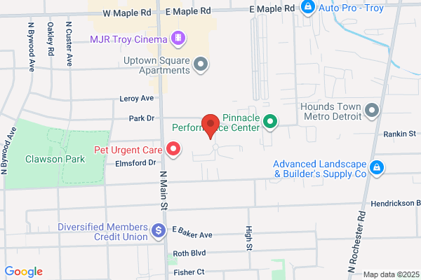 Depuy Orthopedics Inc