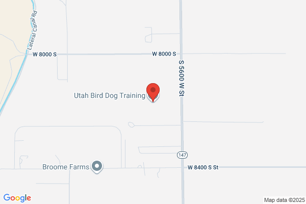 Lockhard Bird Dog Training Center
