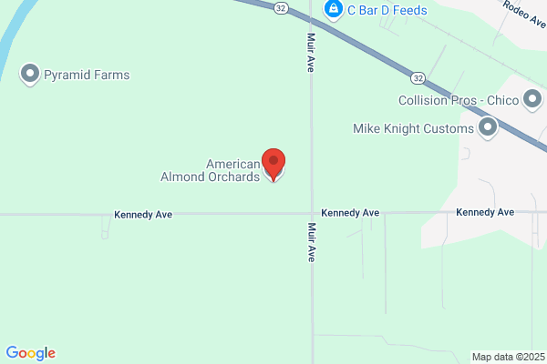 American Almond Orchards