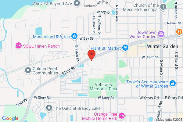 TopoDOT
