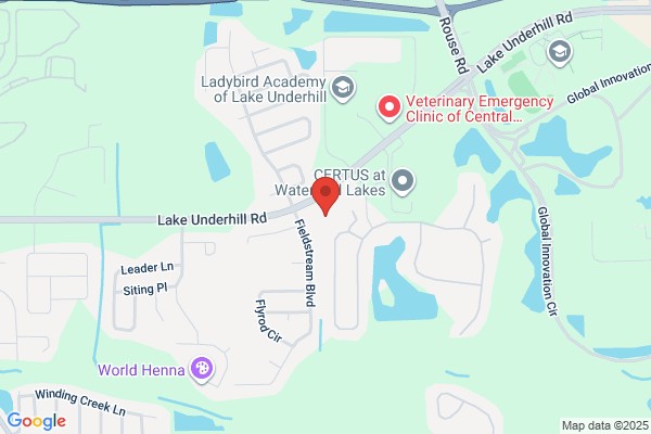 Svelte MD Medical Weight Loss Clinics in Orlando Florida