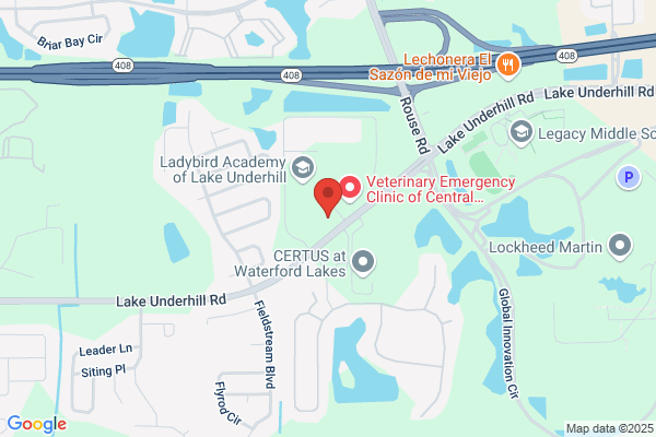 Amazing Explorers Waterford Lakes