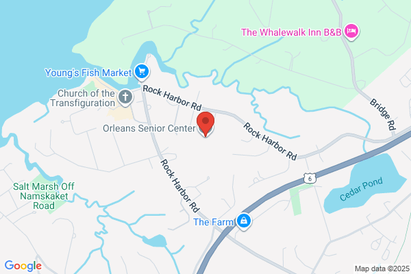 Orleans Town of, Council On Aging