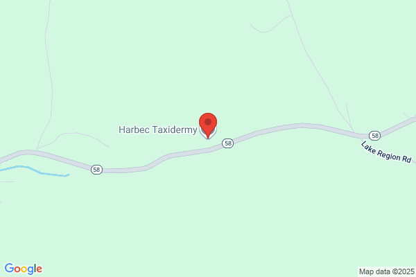 Harbec Taxidermy