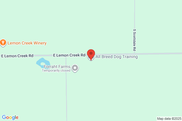 All Breed Dog Training