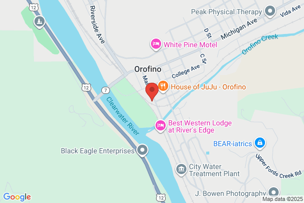 Fluffy Puppy NW