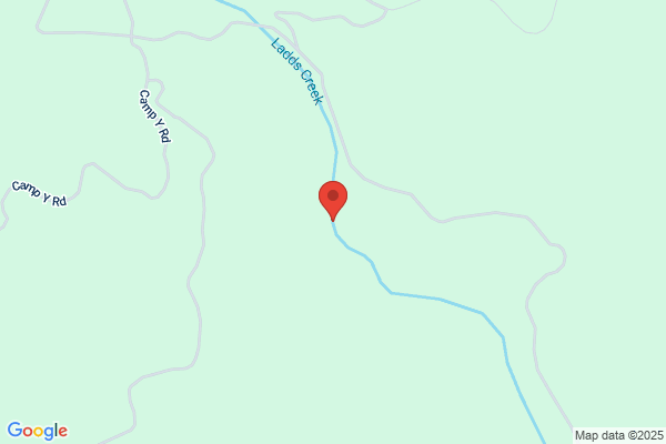 Ladds Creek Setters