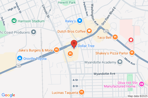 Dollar Tree Stores Inc