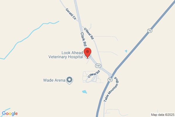 Look Ahead Veterinary Hospital
