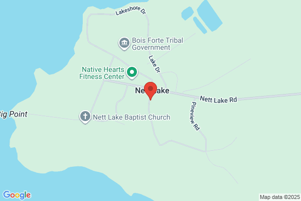 Bois Forte Environmental Services